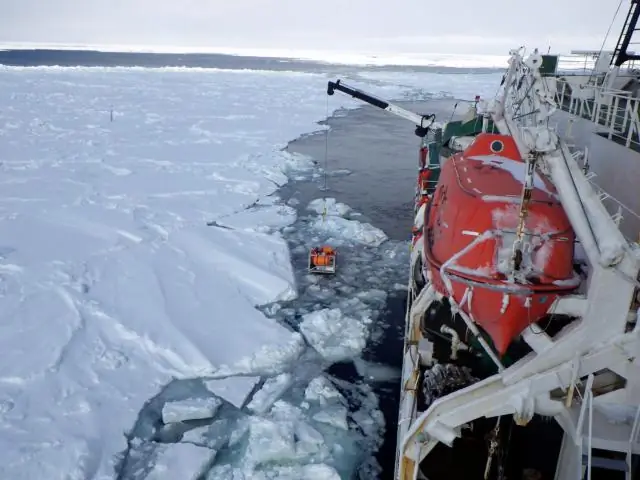 Судьба арктических комаров зависит от среды обитания и доступа к пище крови