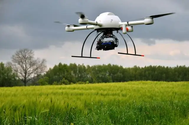 Каждый вид тропических деревьев специализируется на получении необходимых ему питательных веществ