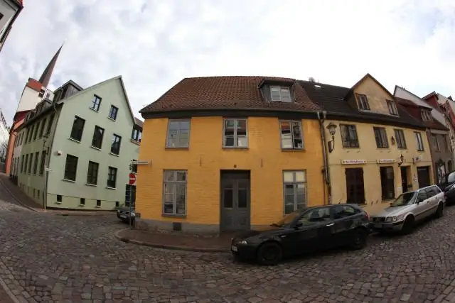 На Аляске найдено первое совместное обнаружение следов гадрозавра и теризинозавра в Северной Америке