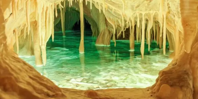 Прозревая: ученые открыли процесс прорастания семян