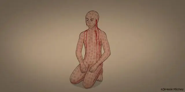 Новая безухая карликовая жаба обнаружена в одной из самых малоизученных гор Анголы