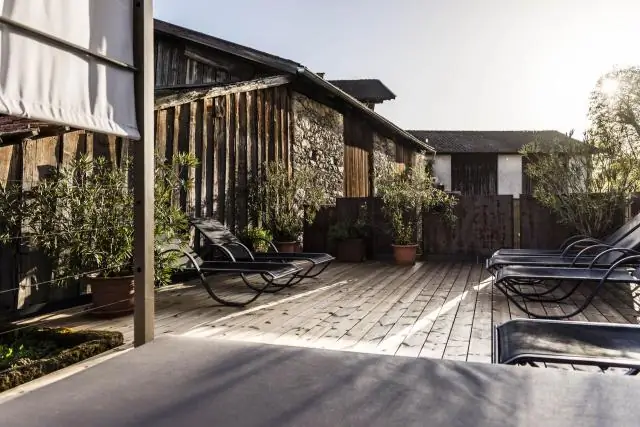 Летучие мыши как хозяева: Мой хозяин – моя крепость