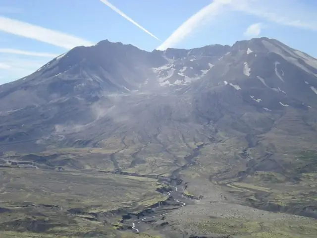 Повышение температуры продлевает вегетационный период растений на торфяниках