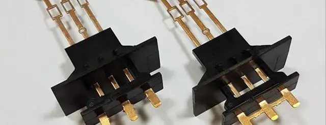 Новые подробности о том, как развивается обоняние: результаты могут помочь определить, как у собак развился такой хороший нюх