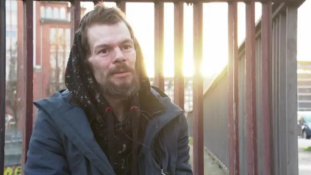 Трудная жизнь в саванне? Пища шимпанзе требует больше механических усилий, чем считалось ранее