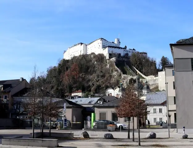 Молодой лосось может прыгнуть, чтобы «вытеснить вошь»