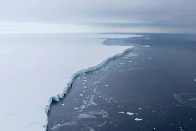 Скорость таяния западно-антарктического ледяного щита очень чувствительна к изменениям температуры океана