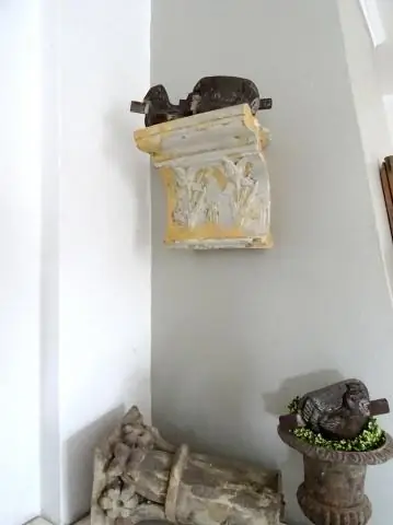 Термопереключатель обнаружен в биоматериалах на основе кальмаров