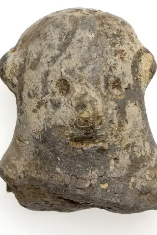 Как люди эпохи неолита адаптировались к изменению климата