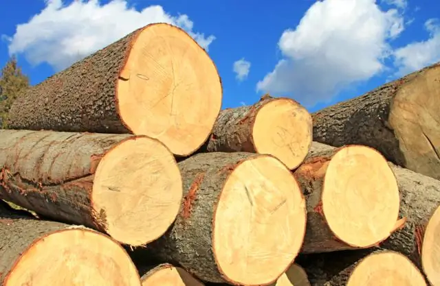 Дайверские роботы обнаружили, что антарктические зимние моря выделяют удивительное количество углекислого газа