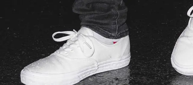 Модели дают биологам-синтетикам фору: ученые создают математические инструменты для прогнозирования производительности генетических цепей