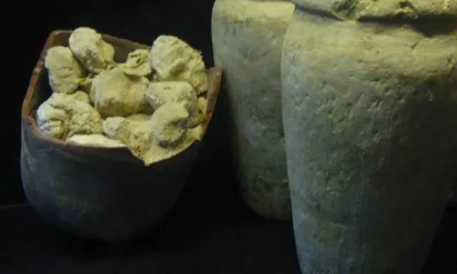 Старейший сыр в мире найден в египетской гробнице