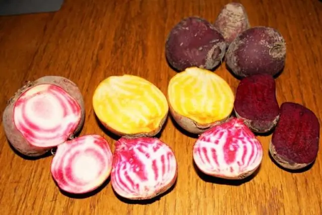 Протеиновые капельки держат нейроны в готовности, а иммунную систему – в равновесии