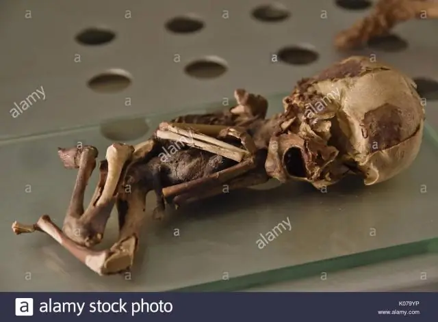 Доисторическая мумия показывает, что древнеегипетский «рецепт» бальзамирования существовал на протяжении тысячелетий