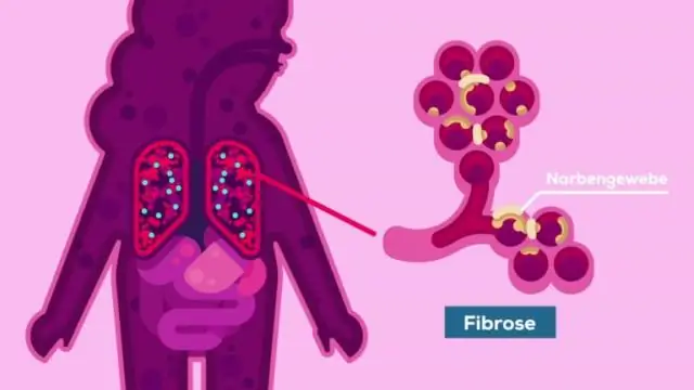 Клетки согласны: что тебя не убивает, делает тебя сильнее