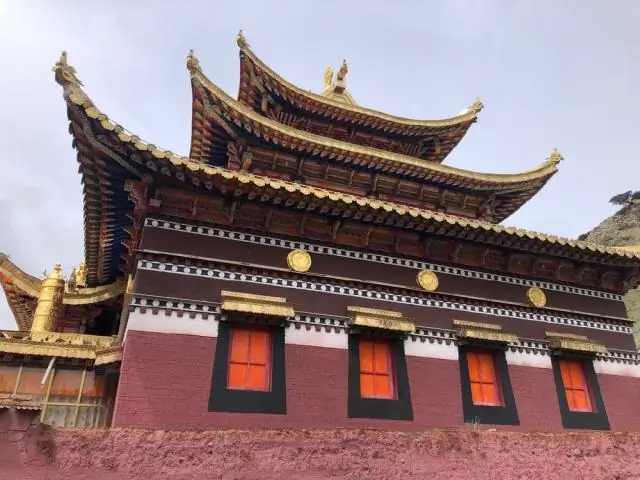 Тибетские овцы очень восприимчивы к человеческой чуме, происходят от сурков