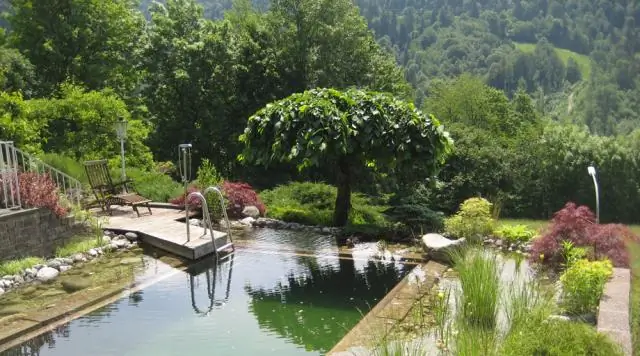 Экстракт кленового листа может пресекать морщины на коже в зародыше