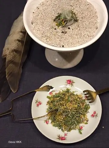 Временная шкала происхождения и эволюции всего живого на Земле