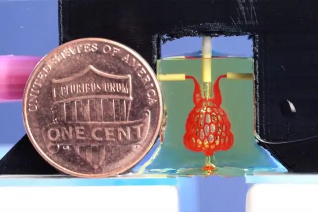 Биоинженеры открывают новые кандидаты в антибиотики: исследование белков человека выявило некоторые из них с антимикробной силой