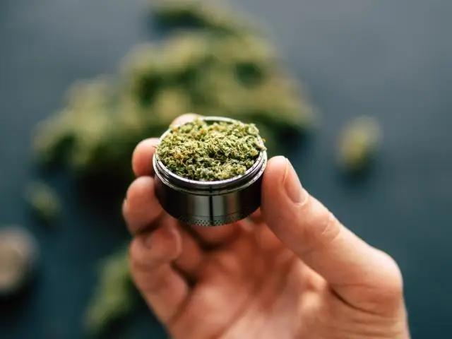 Мичиганский метеор может помочь исследователям понять угрозы объектов, сближающихся с Землей