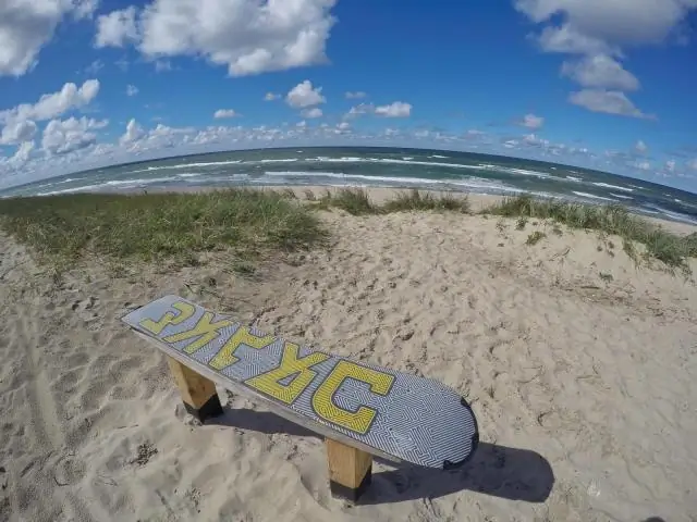 Побережье Южной Калифорнии становится горячей точкой токсичных водорослей: новое исследование показывает, что домоевая кислота из океанских водорослей становится все более серьезной проблемой