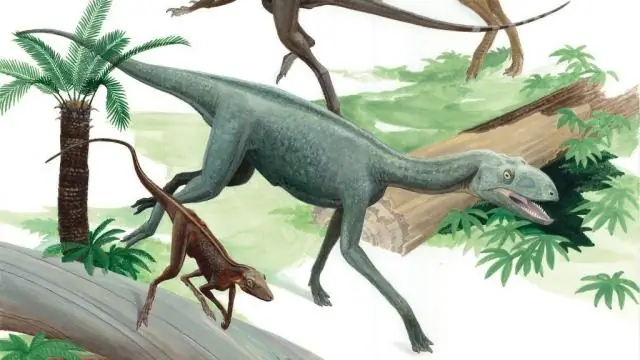 Загадочные африканские окаменелости переписывают историю о том, когда лемуры попали на Мадагаскар: образцы предполагают, что мадагаскарские лемуры не были первыми млекопитающими на острове