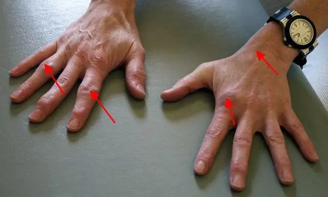 Структурные изменения, происходящие в оболочечных вирусах перед вторжением в организм