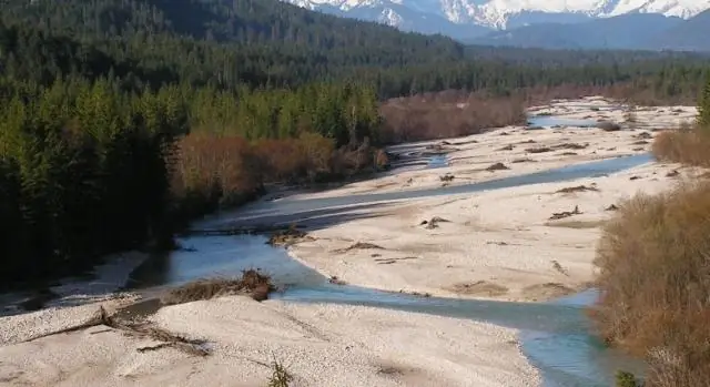 Птица, которую боялись вымершей, вновь обнаружена на Багамах