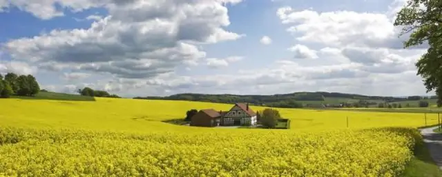 Почему тропические леса такие разные? Новое исследование изучает роль «естественных врагов»: анализ противоречит общепринятой гипотезе экологии сообщества