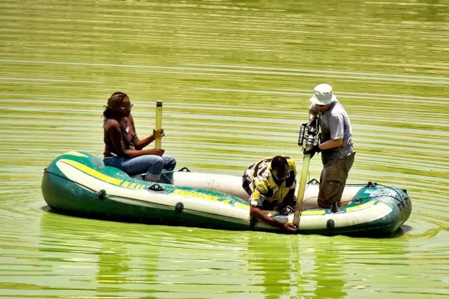 Альваресзавры в переходный период: окаменелости проливают свет на постепенную эволюцию насекомоядных динозавров