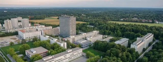 Изменение основной модели современной основной модели мыши