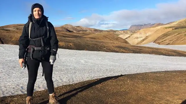 Как вирус бешенства перемещается по нервным клеткам и как его можно остановить