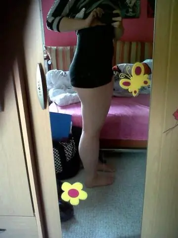 Как у плодовых мушек растут ноги? Разгадка молекулярной загадки