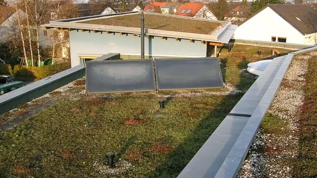 Дорожный шум может ускорить старение птиц