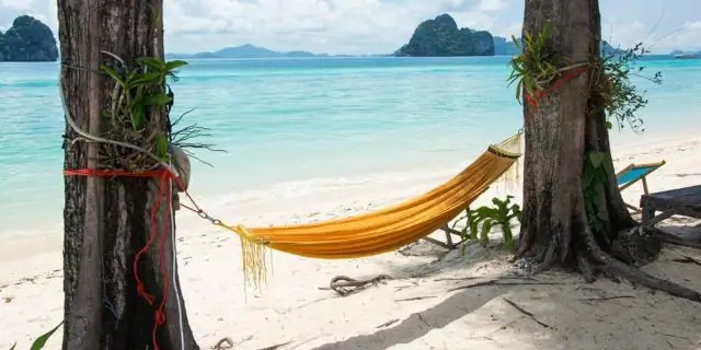 На удаленных островах обитает больше неместных видов