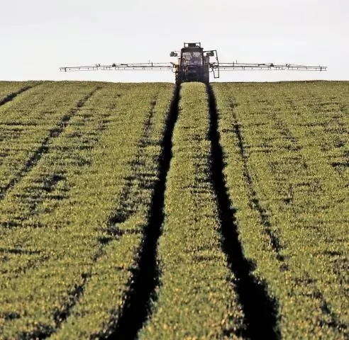 Чем больше пестицидов съедают пчелы, тем больше они им нравятся