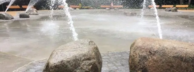 Как лес справляется с летней жарой: исследование показывает, что лесные деревья гораздо лучше справляются с засухой, чем предполагалось ранее