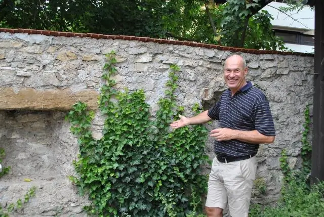 Прорыв может привести к тому, что бактерии будут использоваться в качестве клеточных фабрик для производства биотоплива