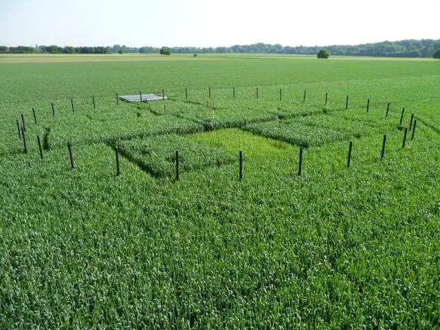 Засуха увеличивает концентрацию CO2 в воздухе