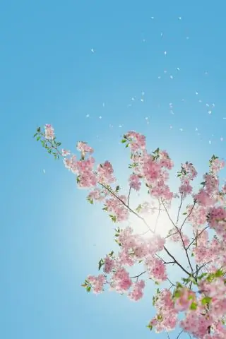 «Архивное» тепло проникло глубоко в недра Арктики, говорят исследователи