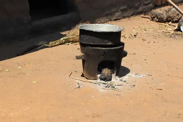 Изменение климата увеличивает распространенность вредных паразитов, предупреждают ученые: новый инструмент борьбы с болезнями поможет фермерам справиться с многомиллионными потерями