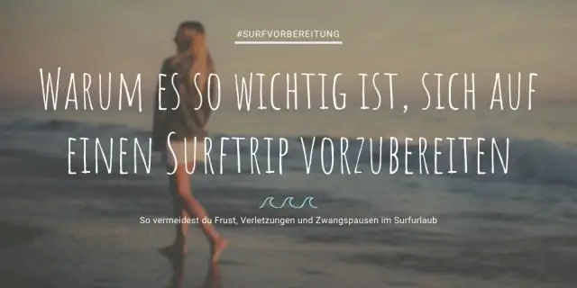 Путешествие за тысячи километров, чтобы поесть: изучены «сумасшедшие» путешествия пингвинов