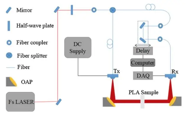 Терагерцовая волна активирует филаментацию актина: новая возможность управления клеточными функциями