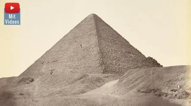 Скрытая жизнь лишайника скальных гномов: новые данные о генетическом разнообразии этого исчезающего симбиотического вида могут помочь защитить его от вымирания