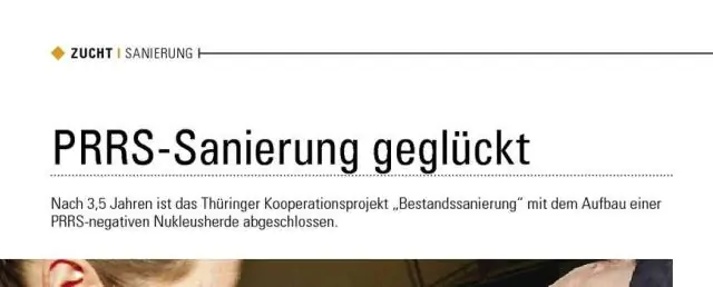 Кормление, ограниченное по времени, улучшает здоровье мышей с нарушенными суточными часами