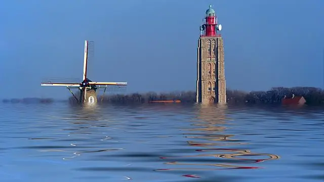 Быстрее, чем мы думали: осернение органического материала: новое исследование меняет наше понимание углеродного цикла