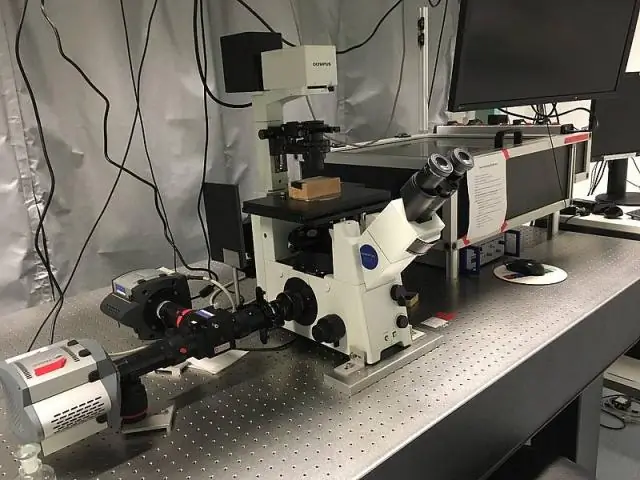 Биофизика: Эгоцентризм