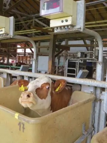 Индивидуальный учет потребления тепла может привести к экономии до 20 процентов