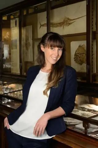 Ископаемые зубы показывают, как юрские рептилии адаптировались к меняющимся условиям моря