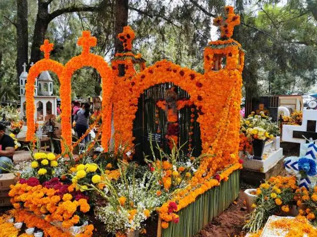 Черепашьи панцири служили символическими музыкальными инструментами для культур коренных народов